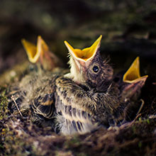 Small manufacture image 6