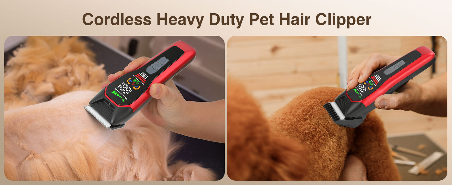 grooming kit for big dogs at home