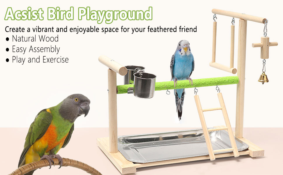Acsist Bird Playground Parrot Playstand Bird Perch Stand