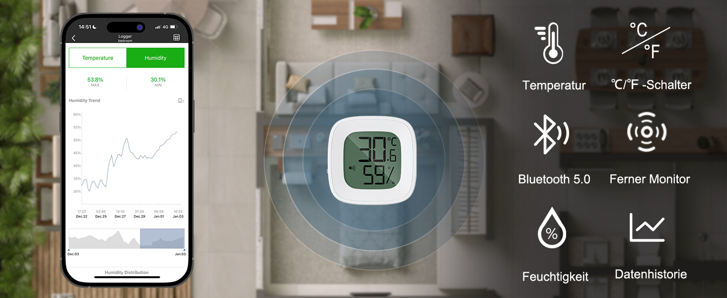 Thermometer
