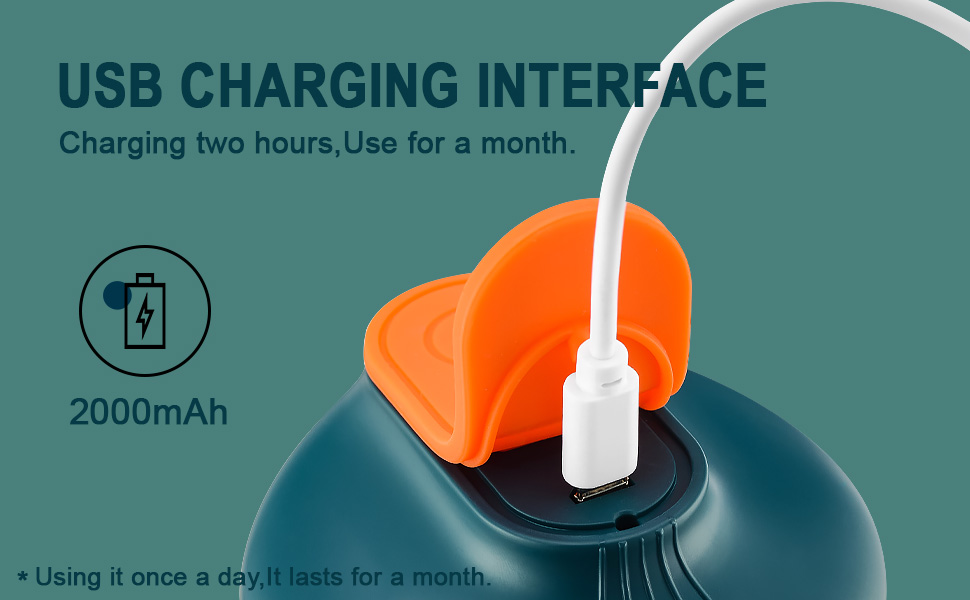 EUNA Electric Garlic Chopper, USB Charging Mini Food