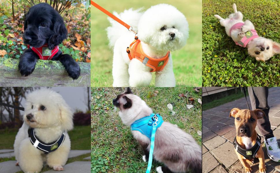 Large manufacture image 4