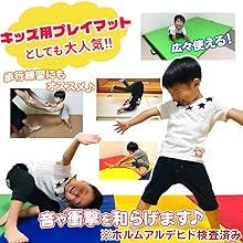 【送料無料】 KaRaDaStyle 200×100×4c マット 体操 63 送料無料】 KaRaDaStyle 200×100×4c マット 体操 63