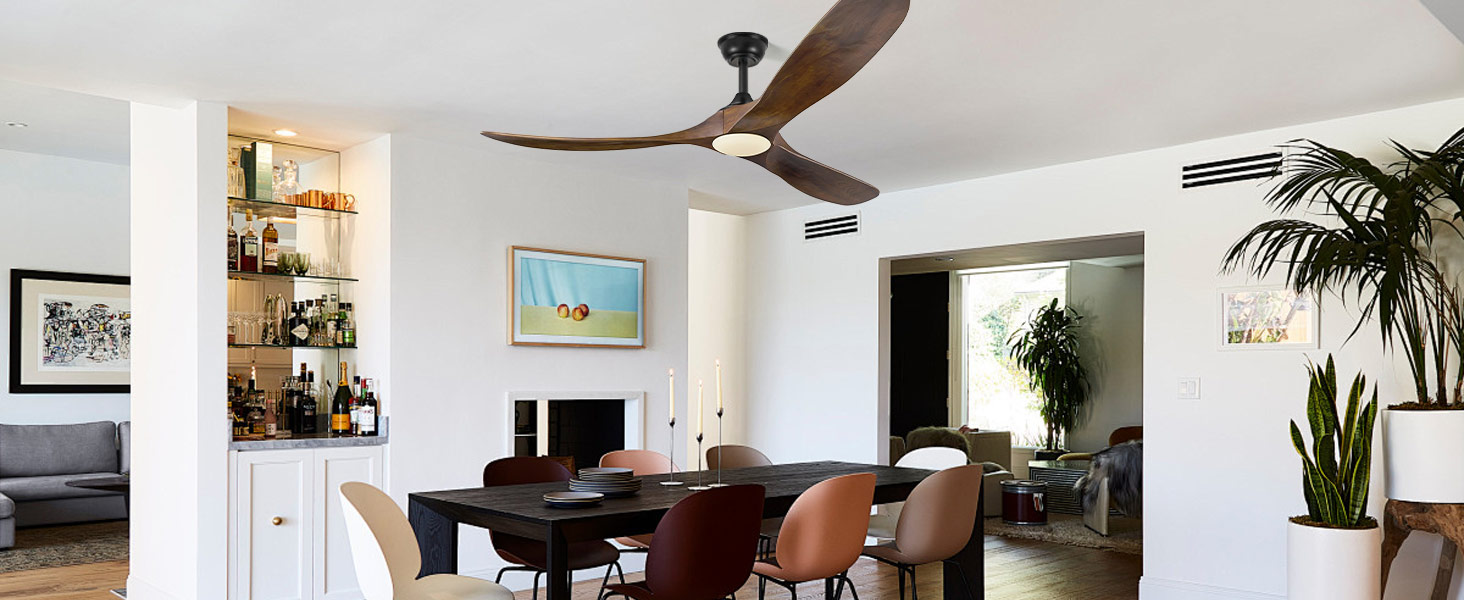 ceiling fan with light