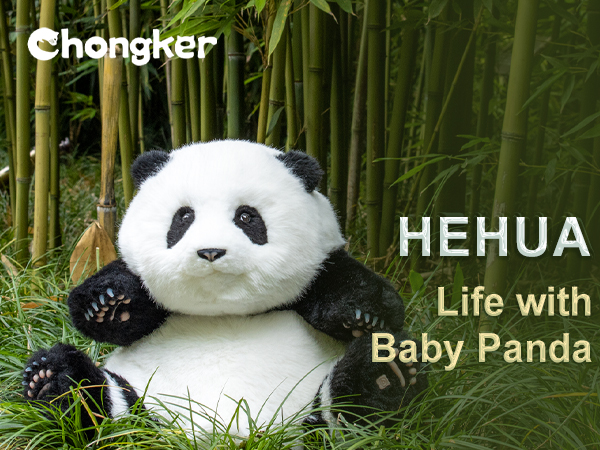 Amazon.com: Chongker Weighted Panda Stuffed Animals, Panda