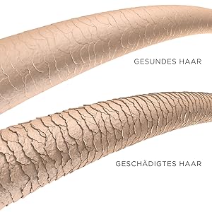 haar gezondheid