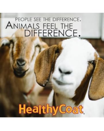 chicken feed supplement poultry additive hens molting plumage feather growth egg quality support