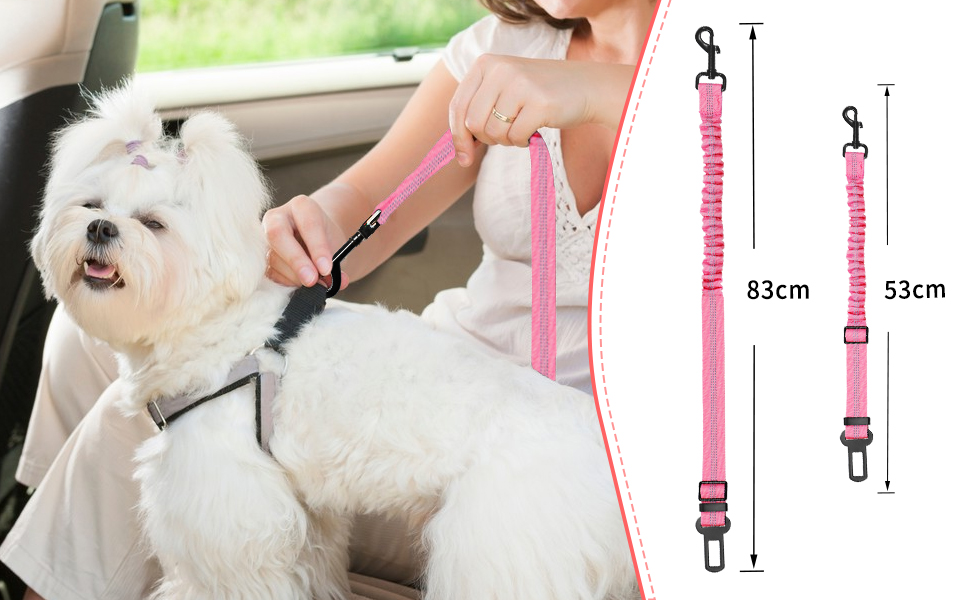 Anschnallgurt Hund Auto