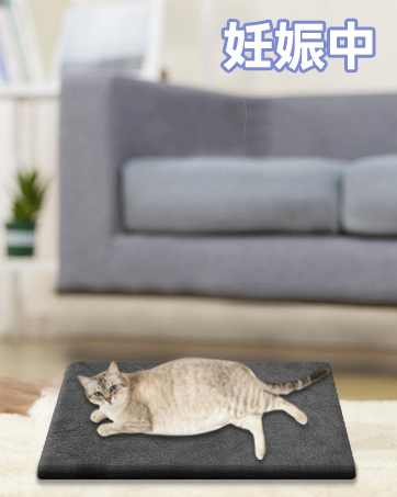 ペット用ホットカーペット【2025年強化版ペット専門家铃木監修】70x45cm Amazon | ペット用ホットカーペット【ペット専門家鈴木監修