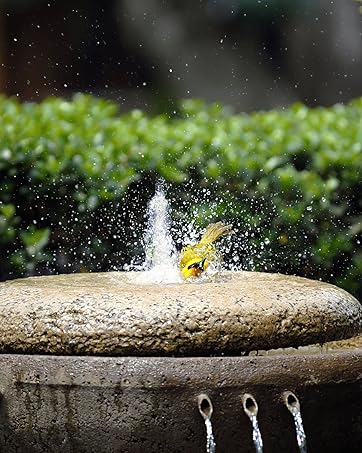 Biling Solar Water Fountain for Bird Bath, 2.5W Solar Powered Water Pump with 4ft Tubing DIY Water Features for the Garden, 6 Nozzles Solar Pond Pump for Hummingbird Bath, Small Pond and Fish Tank 16 bf7046e4 d6b0 40e2 b1bc 056ba658fecd. CR201,0,1598,2000 PT0 SX362 V1