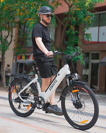 pollnuo ebike