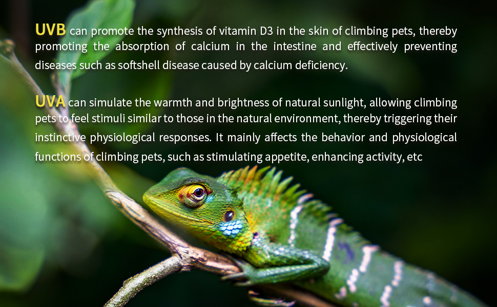 uvb bulbs for reptiles uva uvb reptile light bulb heat lamp bearded dragon uvb light for reptiles