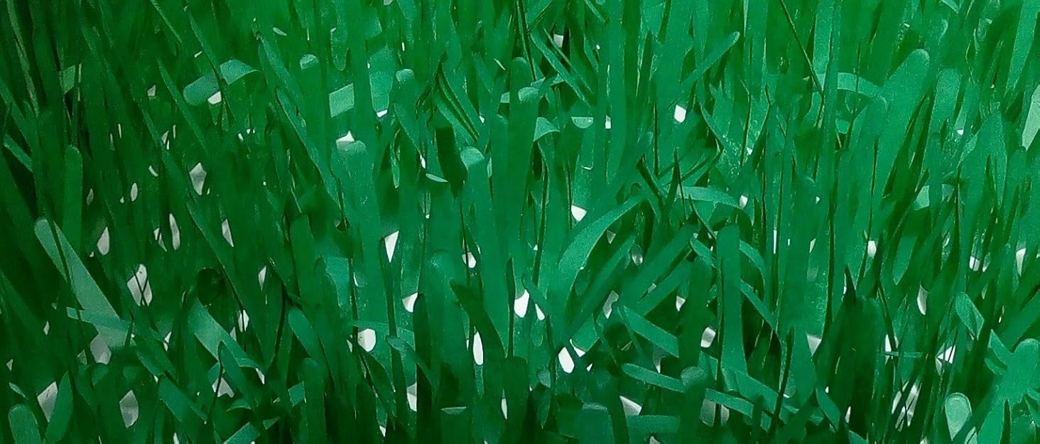 CATMAT Tissue Paper Grass Mat Toy for Cats and Kittens crinkly