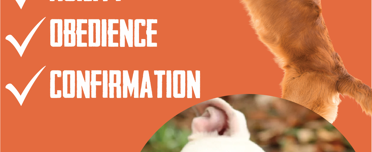 bully boys dog treats