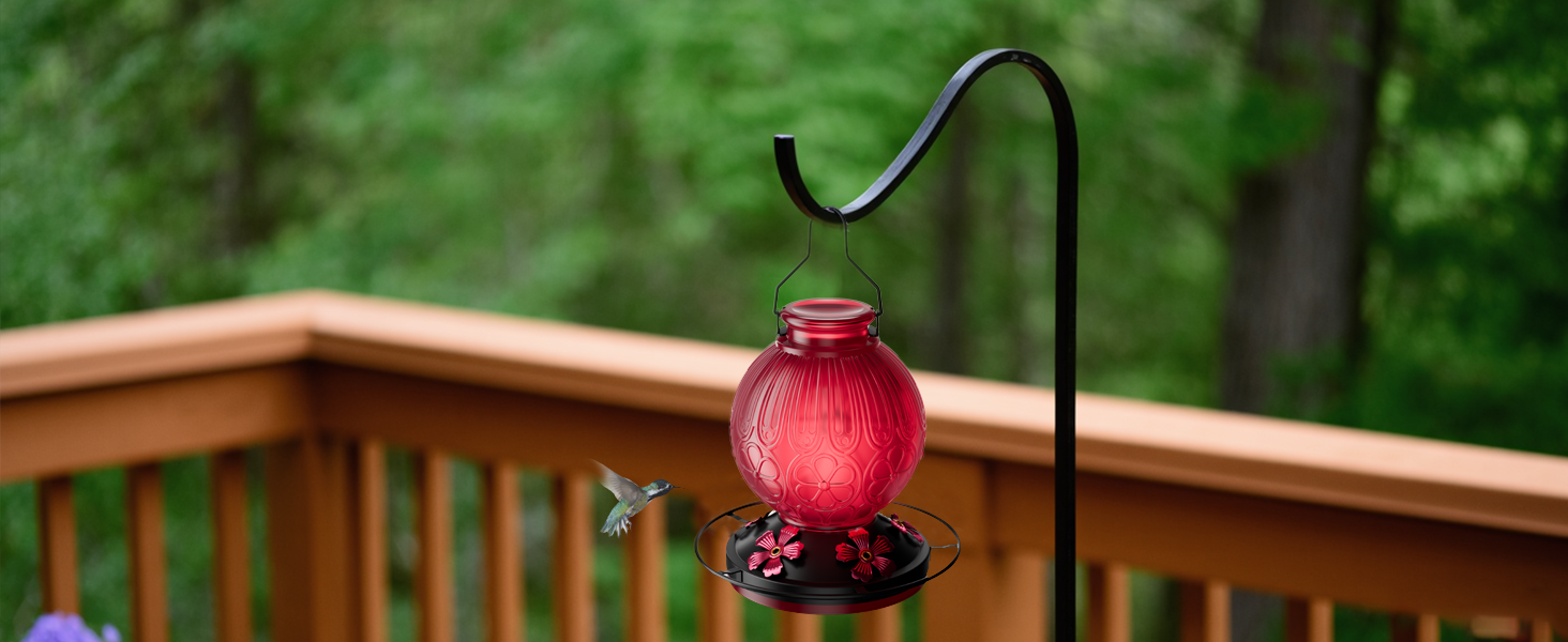 humming bird feeders