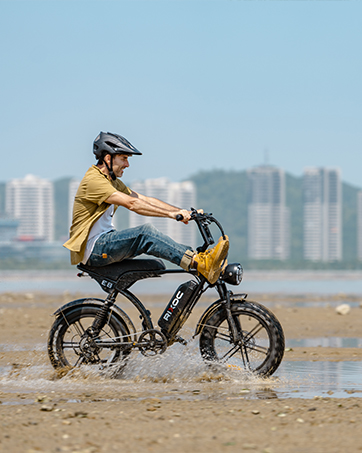 electric bike