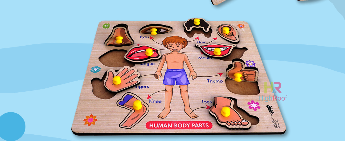 shape sorter toys for kids