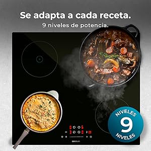 placa inducción; inducción; placa 4 fuegos; placa 4 zonas; placas de cocinar; placa Cecotec