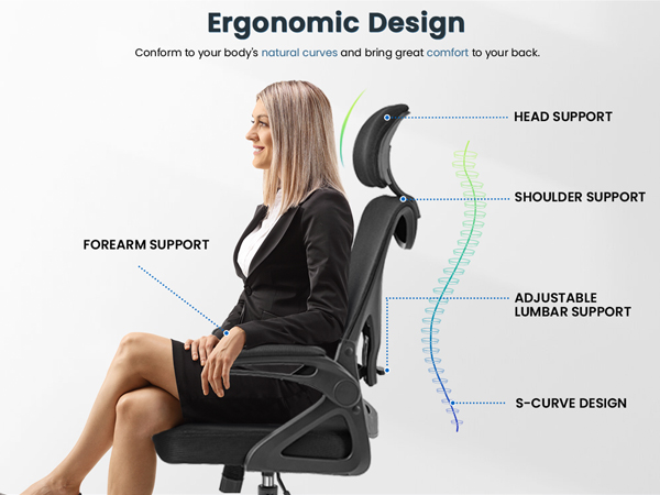 Ergonomic office chair features diagram. Highlights head support, shoulder support, forearm support, adjustable lumbar support, and S-curve design for proper posture.