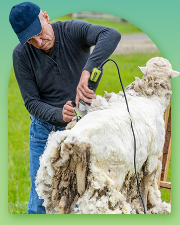 LuzRise Sheep Shears Electric