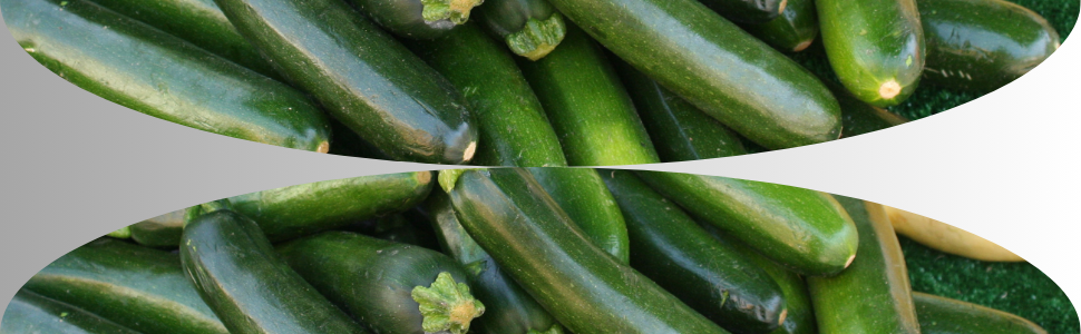 zucchini seeds, zucchini vegetable seeds, zucchini