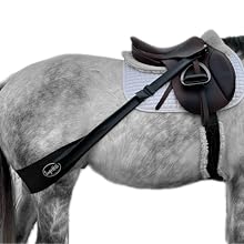A gray horse with a saddle on, and the Equine Fitness Band attached to the saddle.