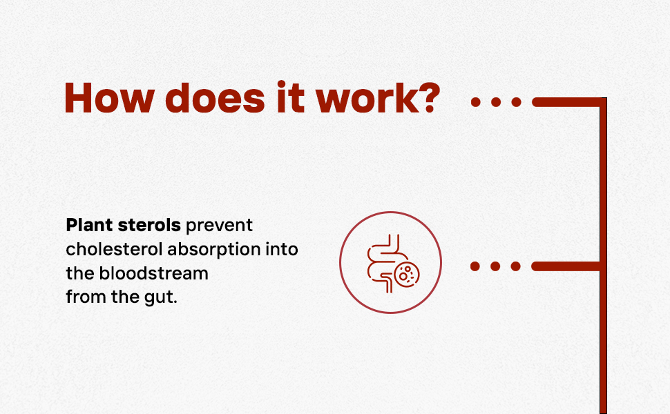Blood Pressure Tablets with Plant Sterols 800mg Cholesterol Tablets