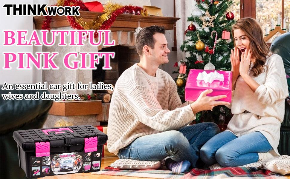 THINKWORK 17Pcs Car Cleaning Kit with Storage Box, Pink Car Washing