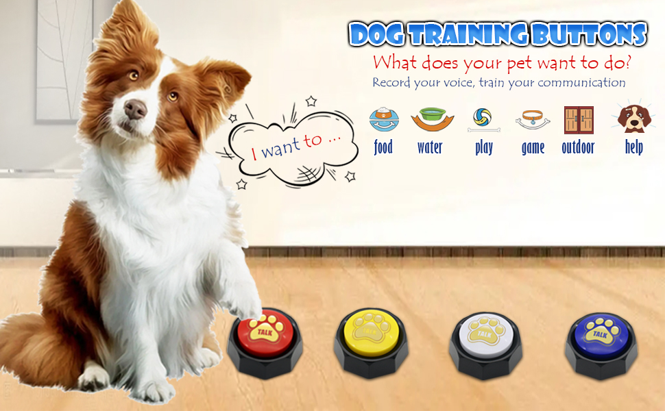 dog talking buttons
