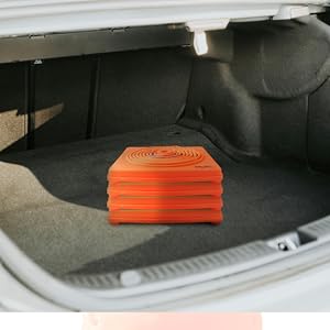 trunk