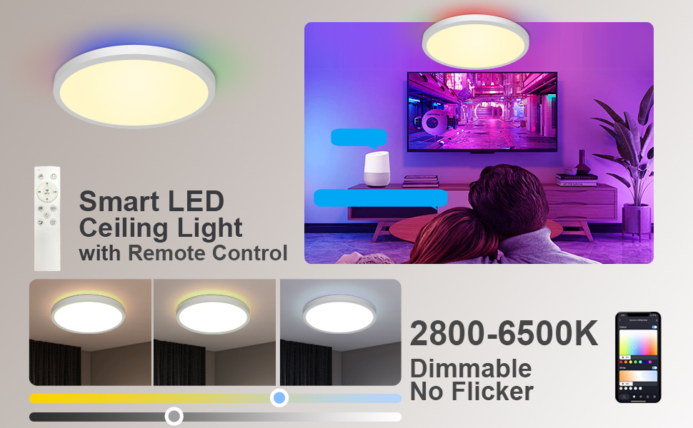 Smart LED Ceiling Light
