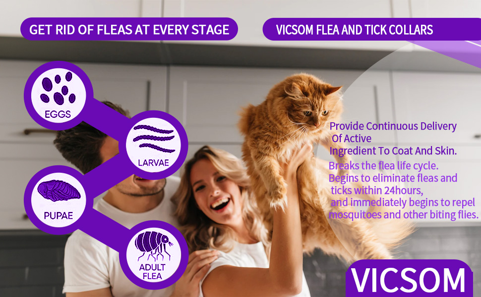 Pet Supplies 4 Pack Flea Collar for Cats, Cat Flea and Tick Collar 8