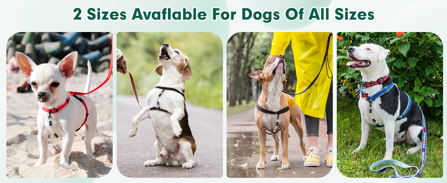 Duckygoo Chew Proof Cable Dog Leash Safety Clips,Durable