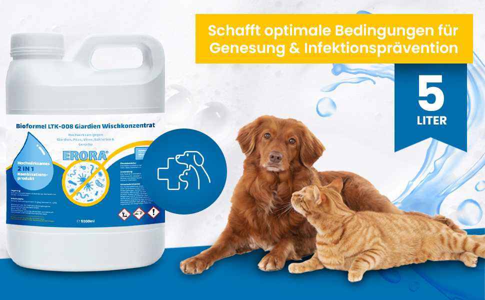 giardien desinfektion