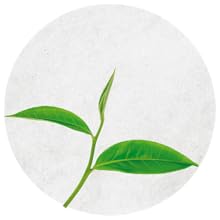 TEA TREE