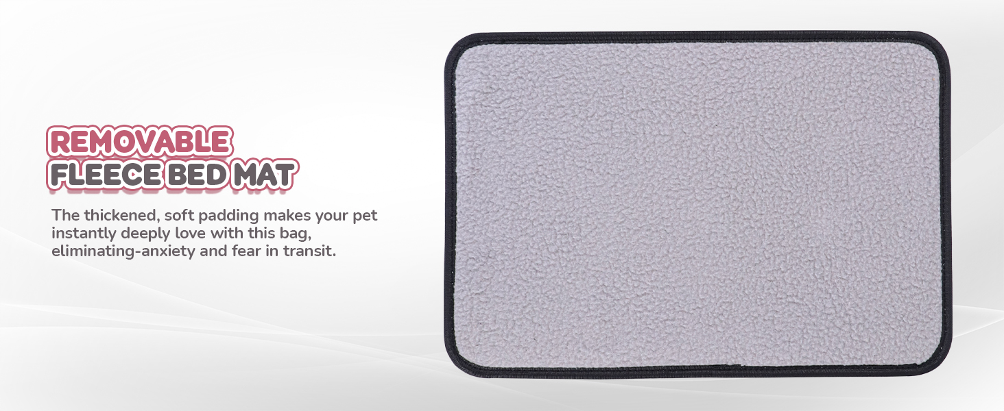 airplane dog carrier underseat tsa approved