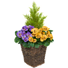 Small manufacture image 9