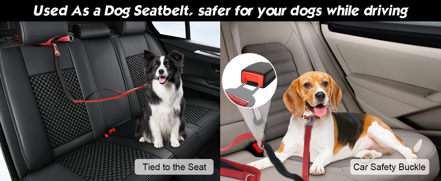 Tactical Dog Leash Heavy Duty