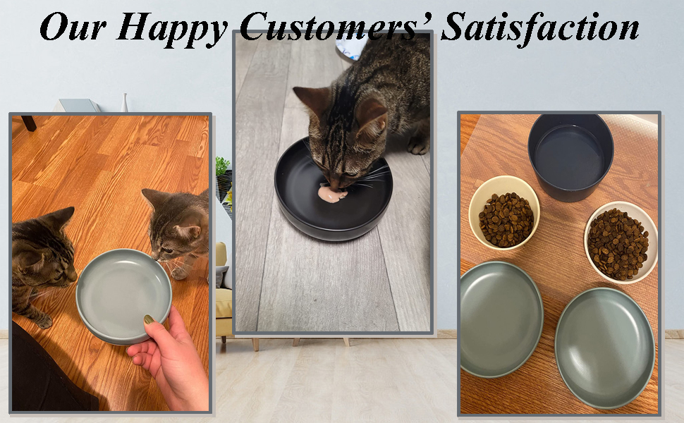 Ceramic Cat Bowls,Shallow Cat Dishes for Food and Water, 6