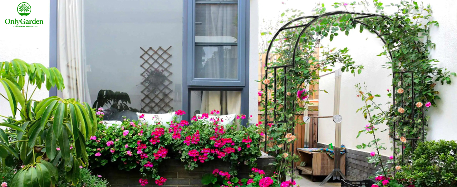 garden arch trellis