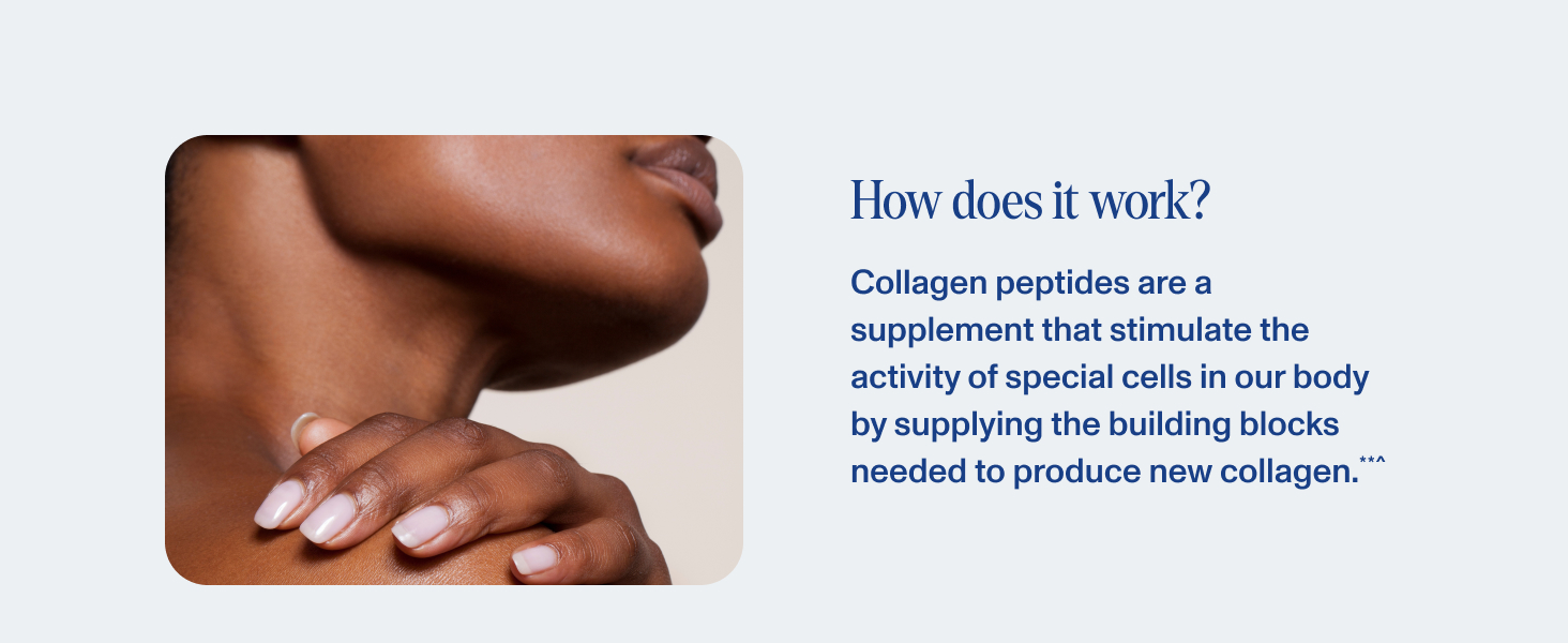 Collagen peptides stimulate the building blocks required to produce new collagen