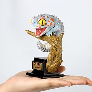 Amazon.co.jp: 博物志 ガチャガチャ ブラインド ボックス
