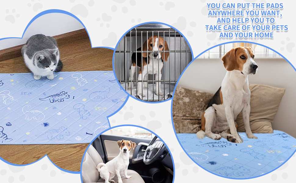 IEUUMLER Washable Pee Pads for Dogs, 2 Pack NonSlip