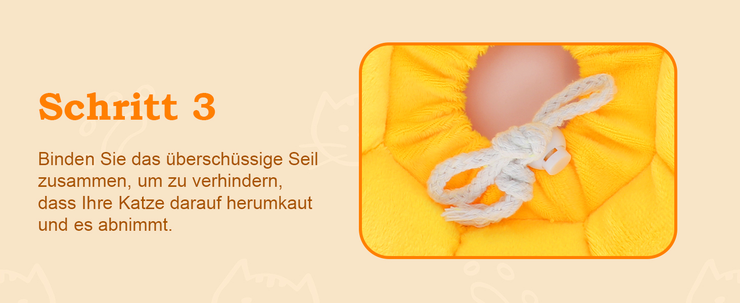 Halskrause Katze