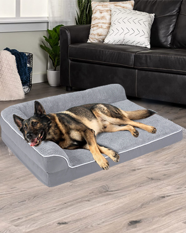 large dog bed