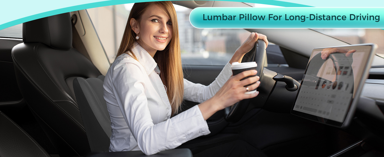 kasney Lumbar Support Pillow, Versatile Back Support Pillow