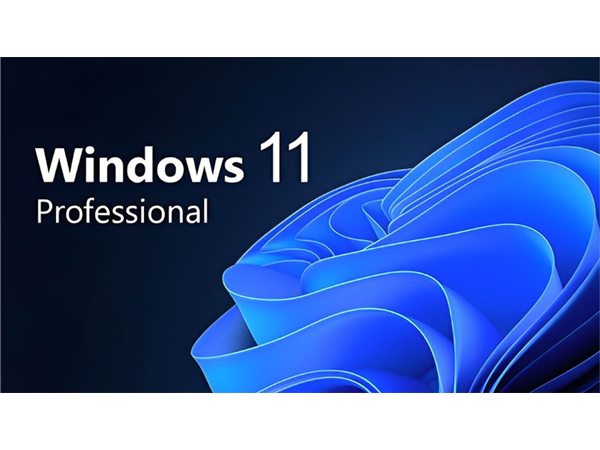 Windows 11 Pro