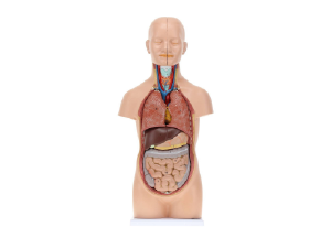 Small manufacture image 8