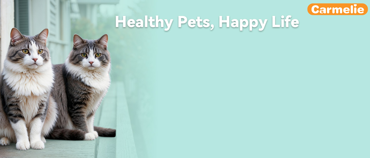 Flea & Tick Support for Cats