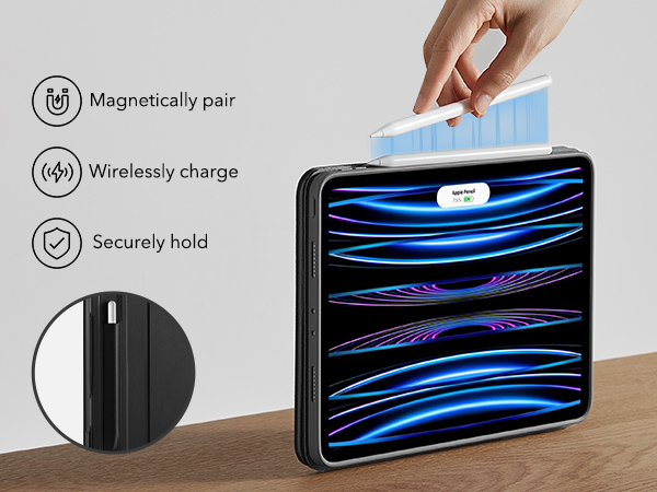 iPad Pro 11 Inch Case